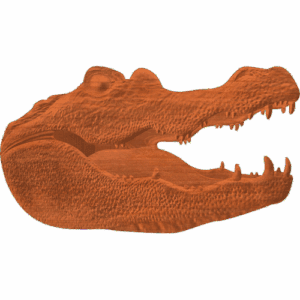 Gator Head